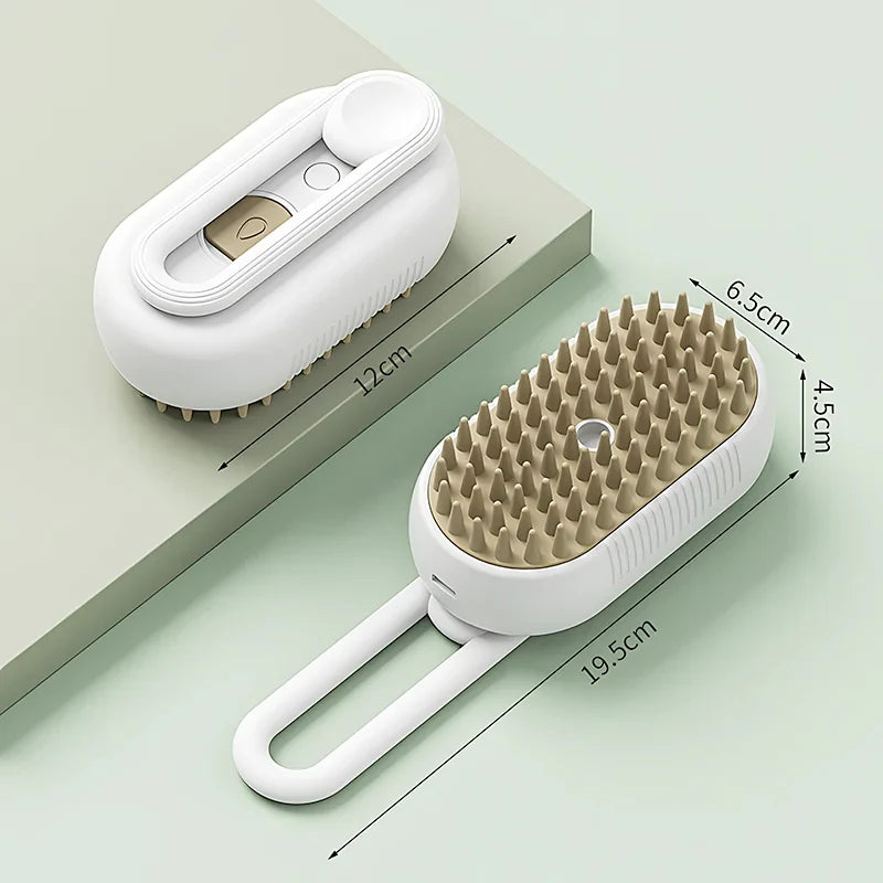 Brosse à Vapeur d'eau