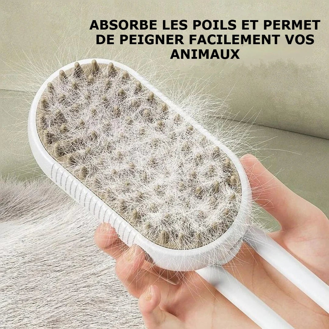 Brosse à Vapeur d'eau